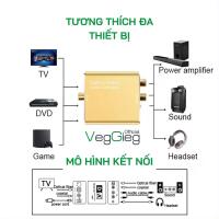 Bộ chuyển đổi Âm thanh Kỹ Thuật Số sang Quang Học - V-F101