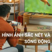 Bộ Thu Tín Hiệu HDMI-VGA Không Dây - V-Q03